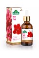 Hint Yağı 100ml